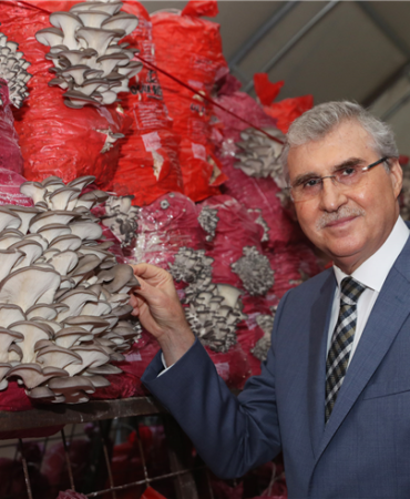 Mantar Üretim Tesisi