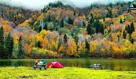 Sakarya Akyazı Altındere Köyü Akyazı Altındere Mahallesi