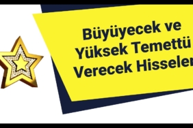 Temettü Tarihleri - Temettü veren hisseler!Temettü Verecek Hisseler ve Tarihleri