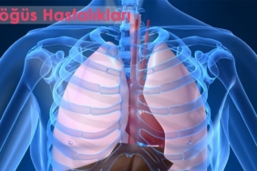 göğüs-hastalıkları-Bahattin Polat