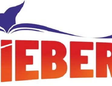 Wieberr Akyazı, günden, haber, sakarya, hedenk