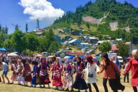 Dikmen Hamsi Festivali