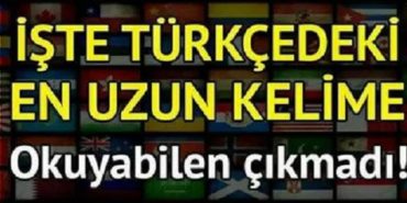 Türkçe de en uzun kelime kaç harfli