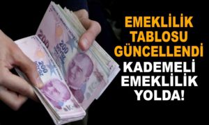 Kademeli Emeklilik Şartları