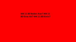 444 11 00 Neden arar