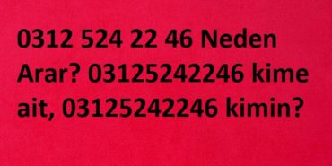 0312 524 22 46