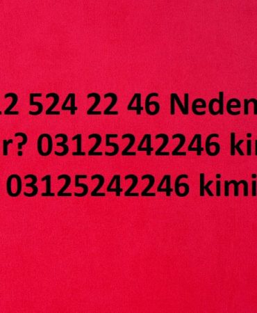 0312 524 22 46