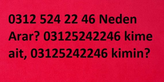 0312 524 22 46
