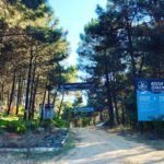 turkcell platinum park