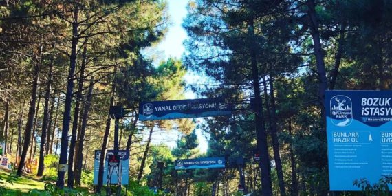 turkcell platinum park